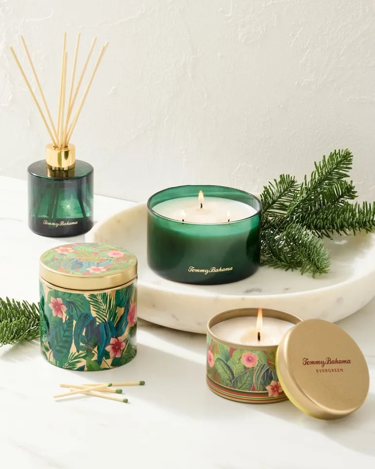 Evergreen 7.1-oz Travel Candle Tin